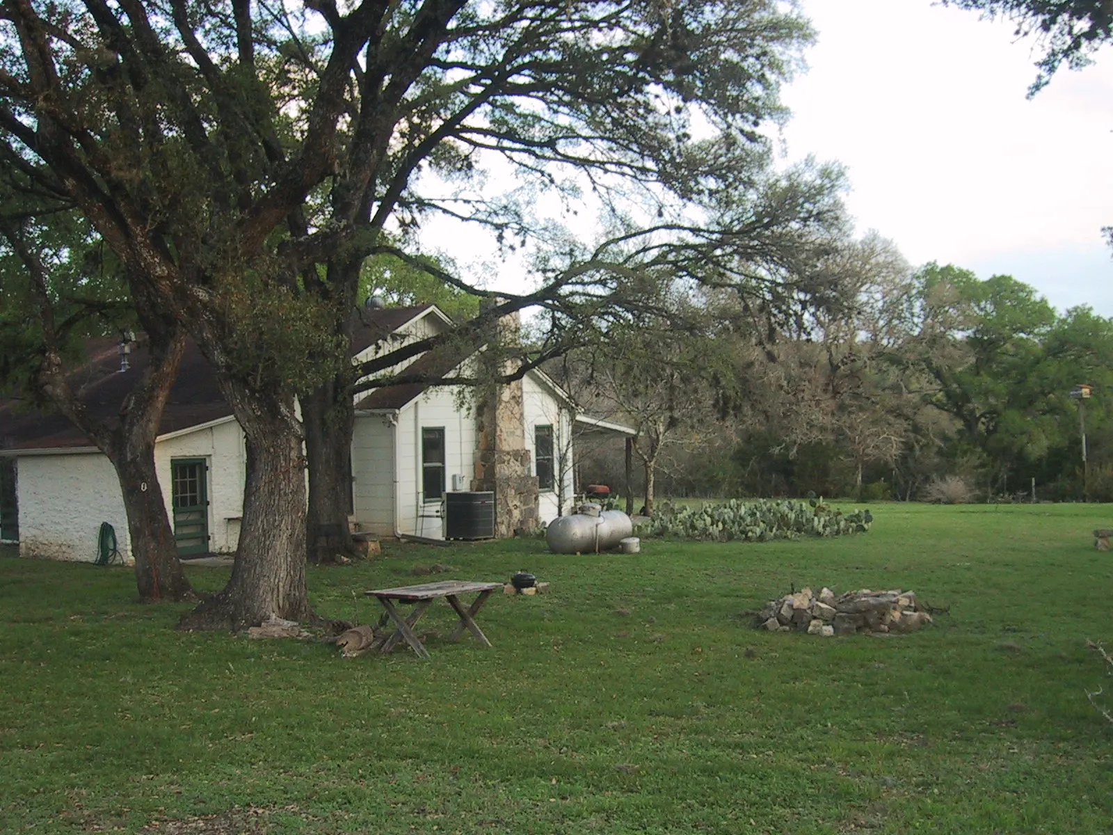 Back View House