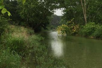 Flower Creek