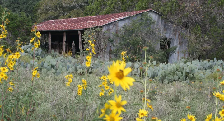 Barn